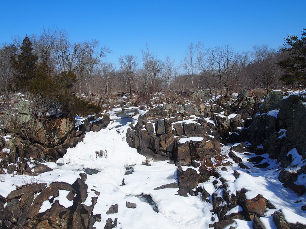 P3011008.JPG P3011008.JPG