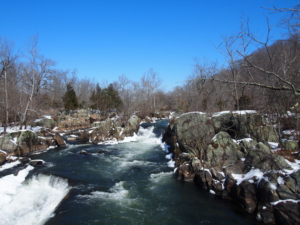 P3011003.JPG P3011003.JPG