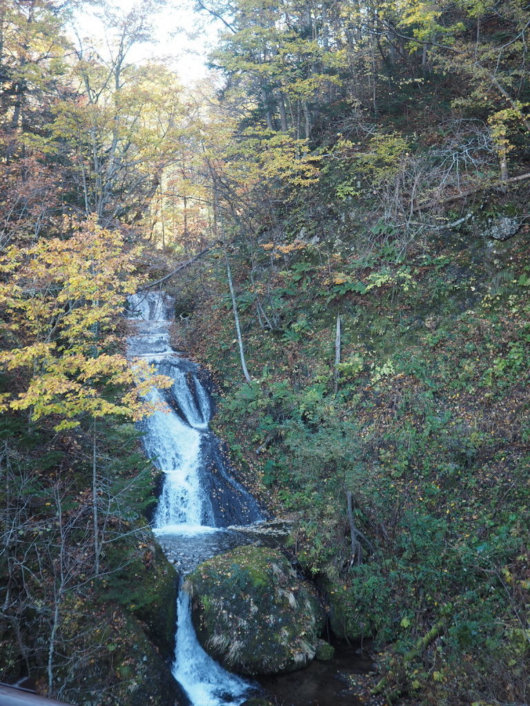 PA170240.JPG PA170240.JPG