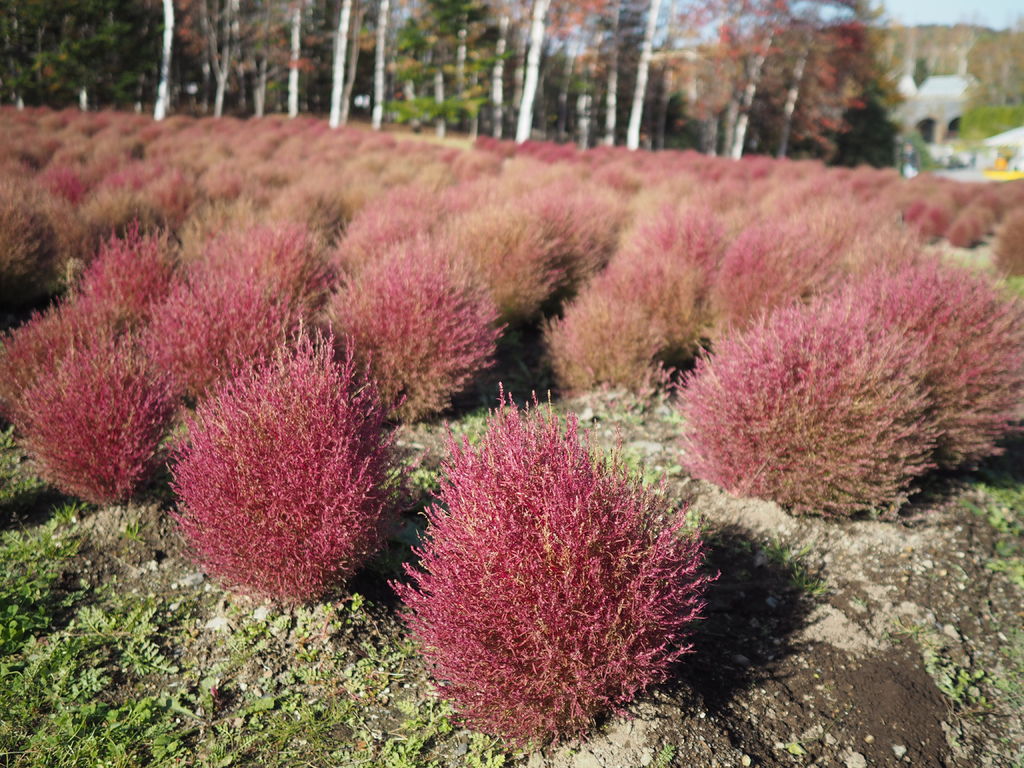 PA190975.JPG PA190975.JPG