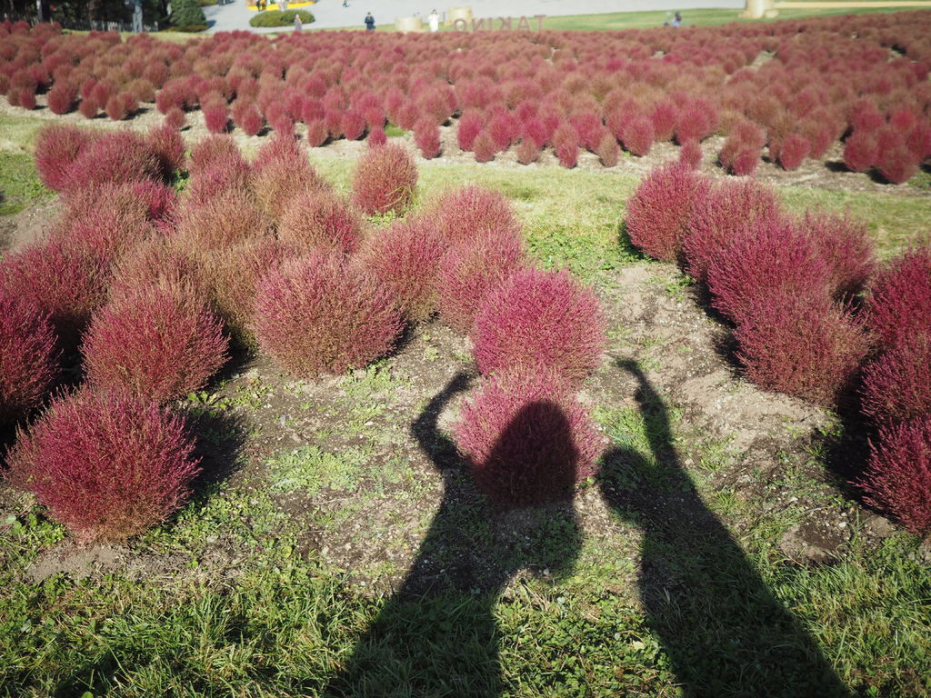 PA191020.JPG PA191020.JPG