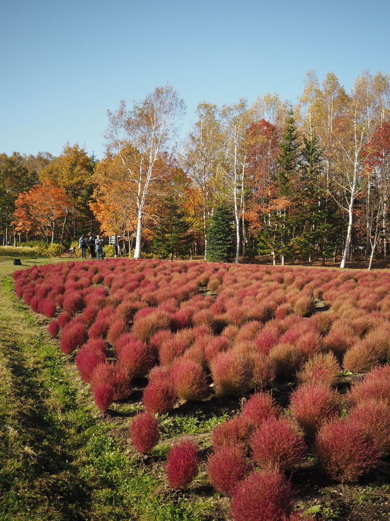 PA191034.JPG PA191034.JPG