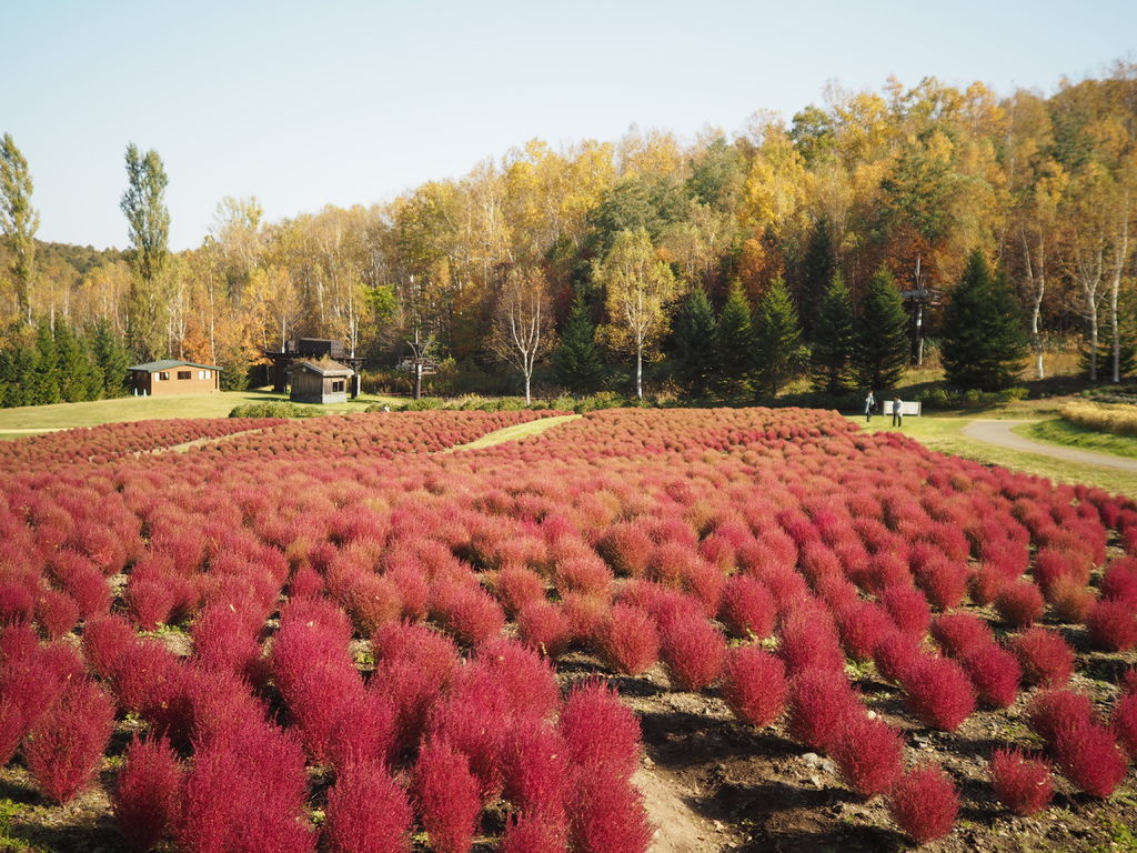 PA191051.JPG PA191051.JPG