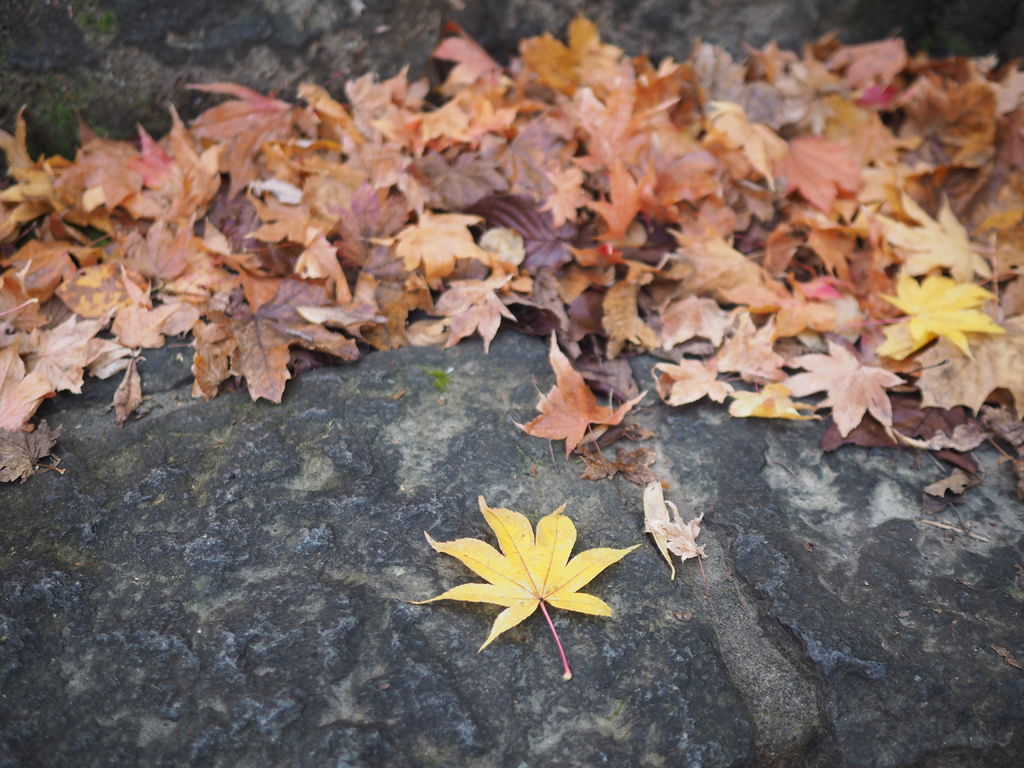 PA191067.JPG PA191067.JPG