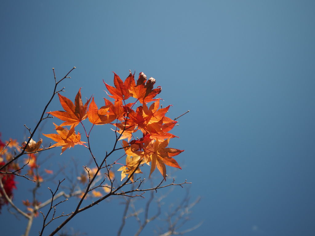 PA191114.JPG PA191114.JPG