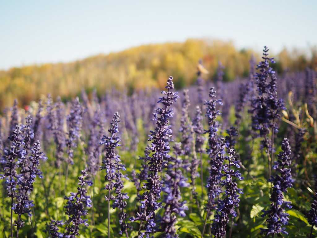 PA191178.JPG PA191178.JPG