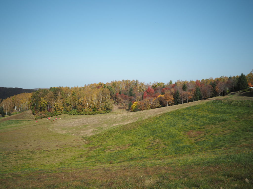 PA191229.JPG PA191229.JPG