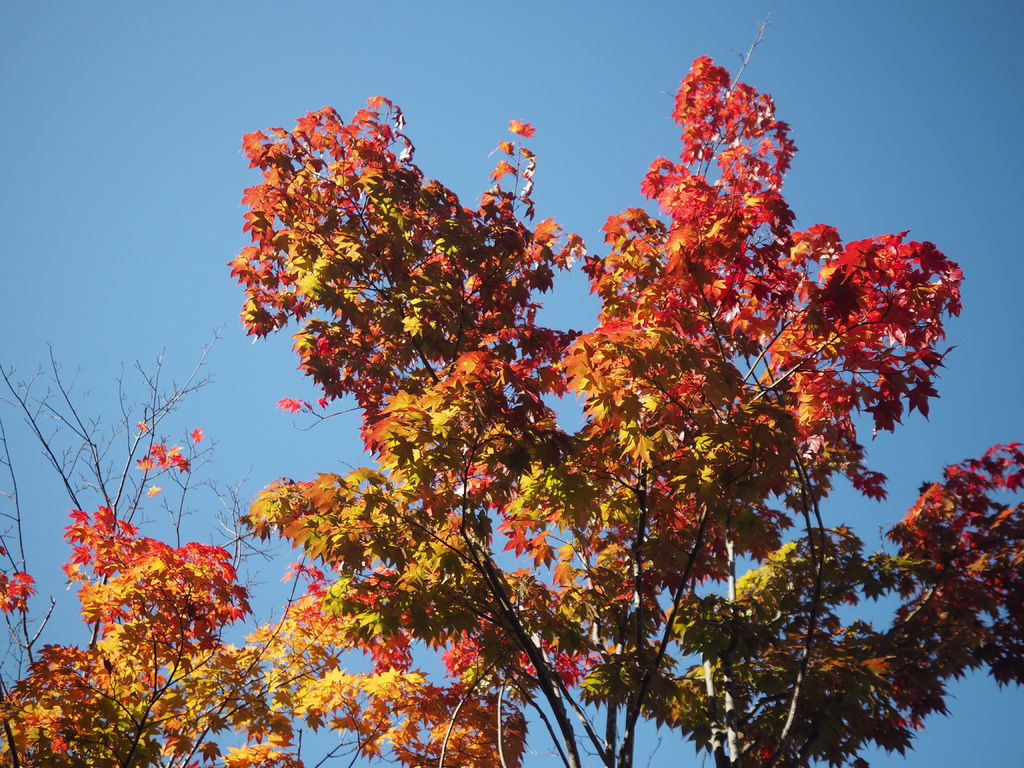 PA170510.JPG PA170510.JPG