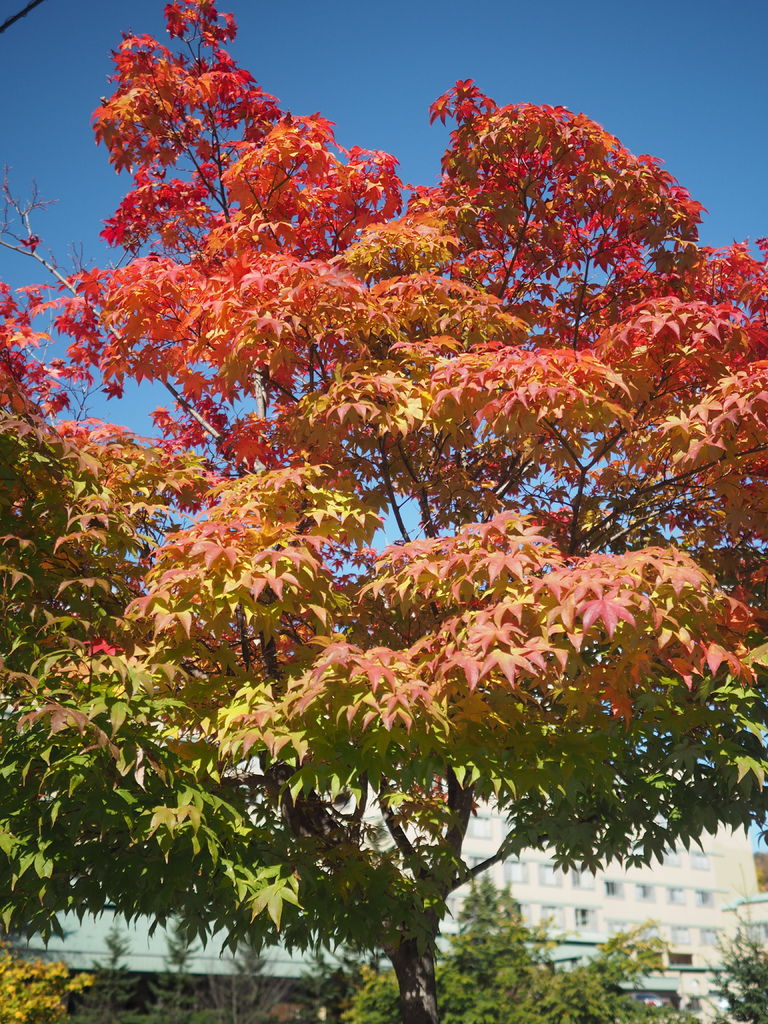 PA170521.JPG PA170521.JPG