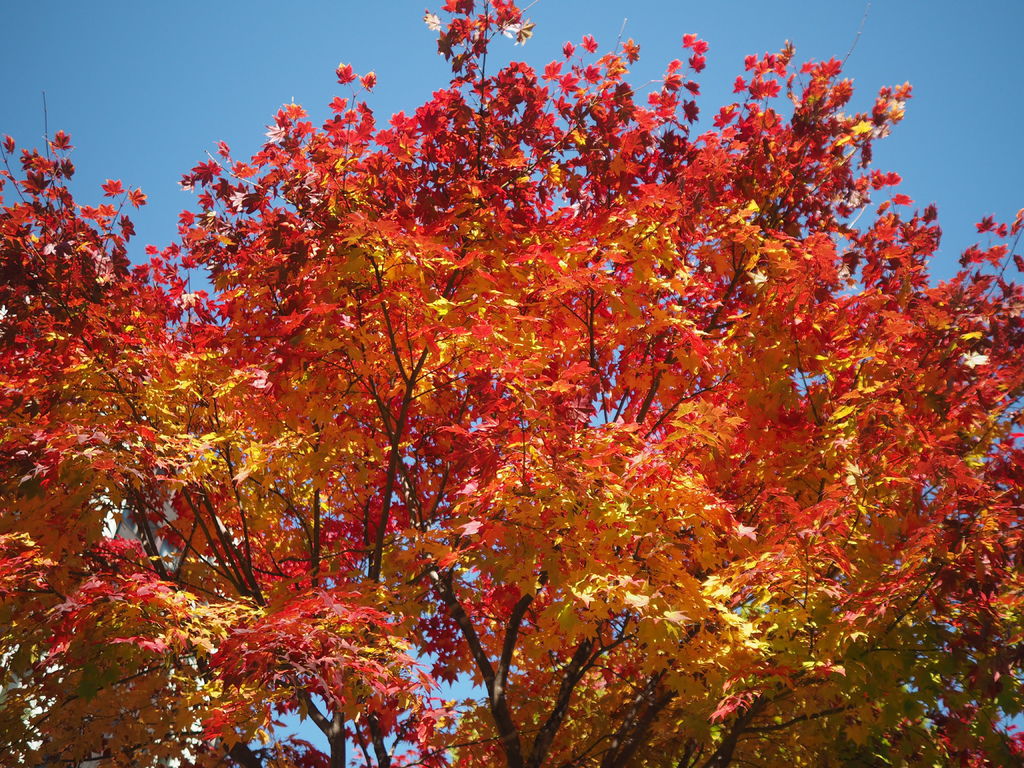 PA170544.JPG PA170544.JPG