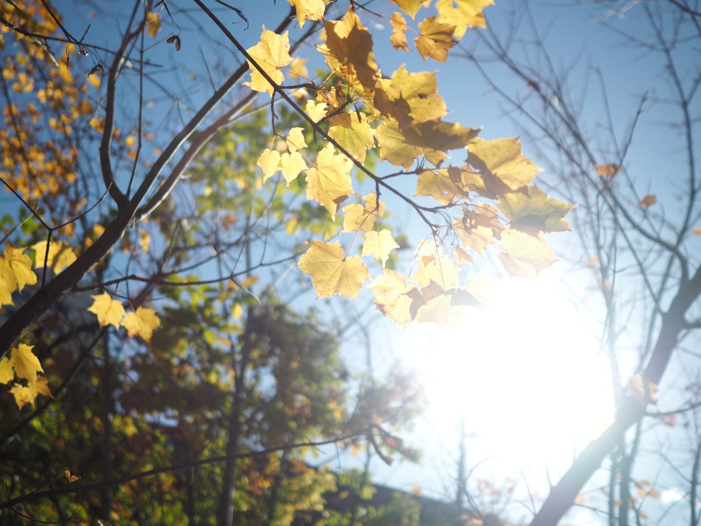 PA170581.JPG PA170581.JPG