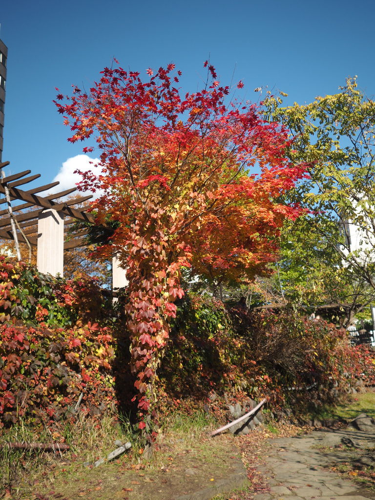 PA170582.JPG PA170582.JPG