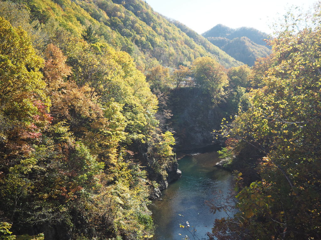 PA170621.JPG PA170621.JPG