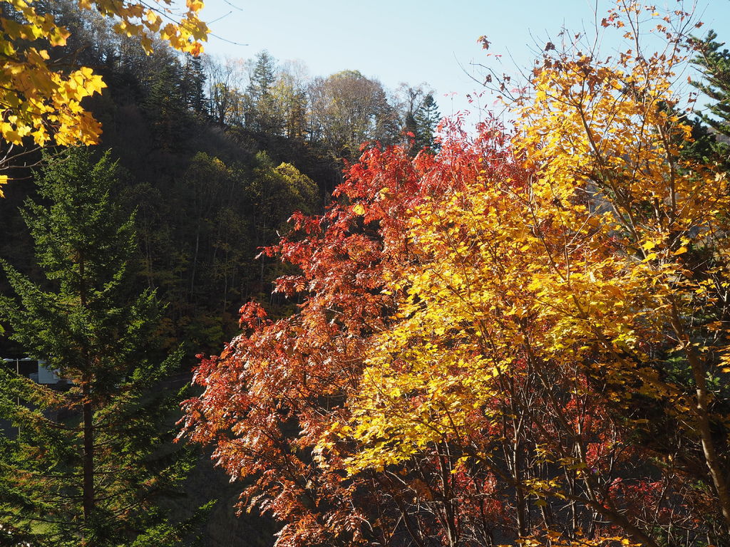 PA170255.JPG PA170255.JPG