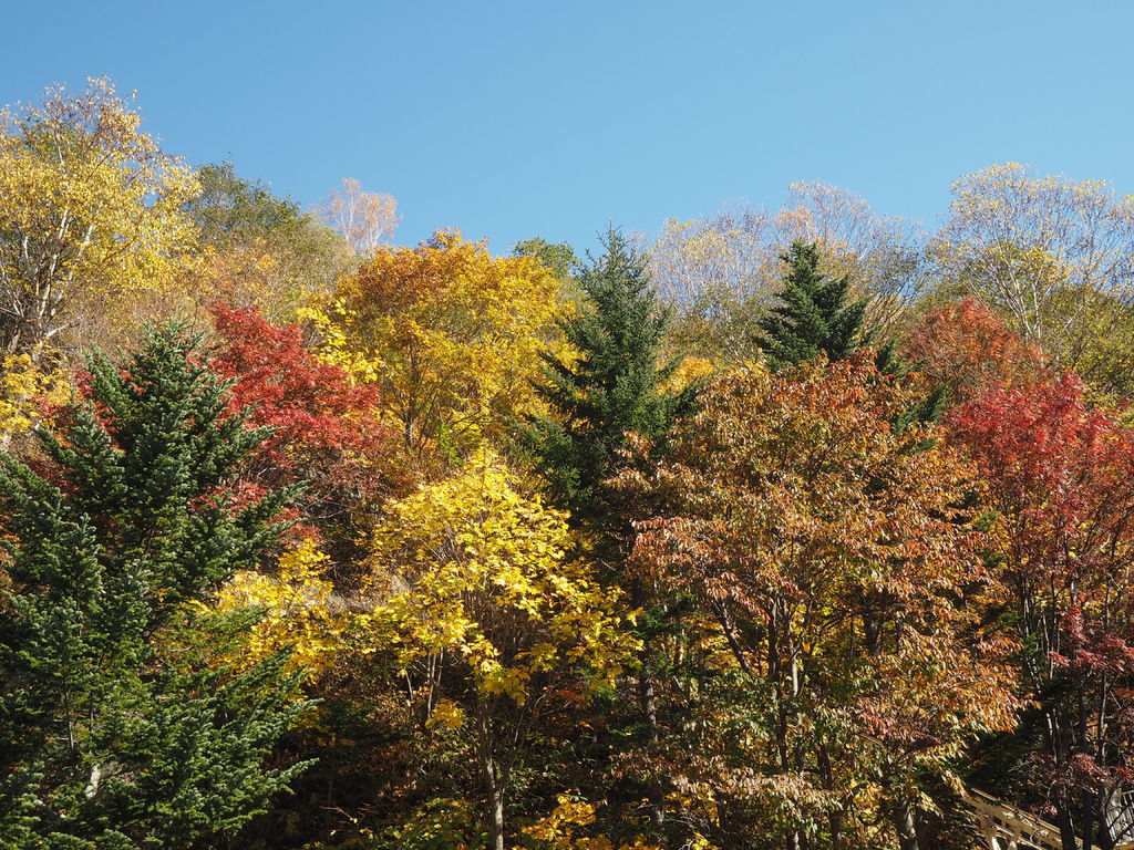 PA170403.JPG PA170403.JPG