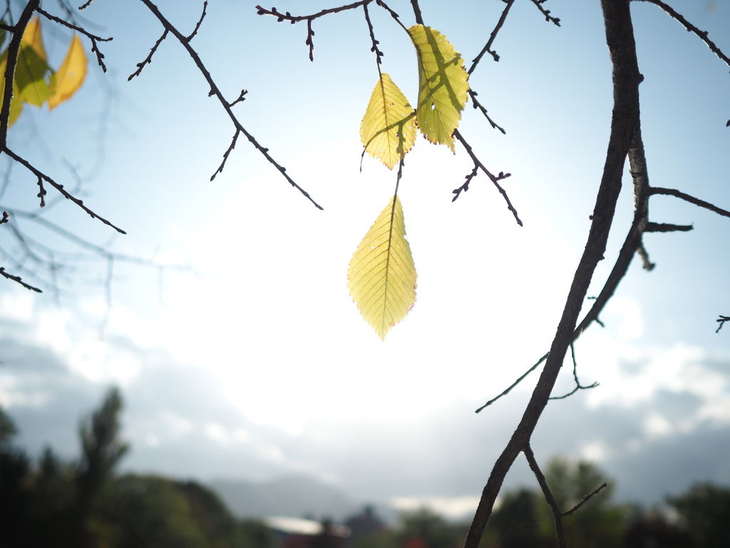 PA191427.JPG PA191427.JPG