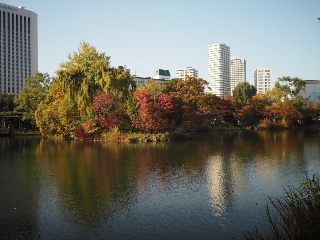 北海道 秋 中島公園 賞紅葉 賞楓必去 市區中寧靜一隅 自助旅行 能火夫婦can Fire Couple 痞客邦 北海道 秋 中島公園 賞紅葉 賞楓必去 市區中寧靜一隅 自助旅行 能火夫婦can Fire Couple 痞客邦