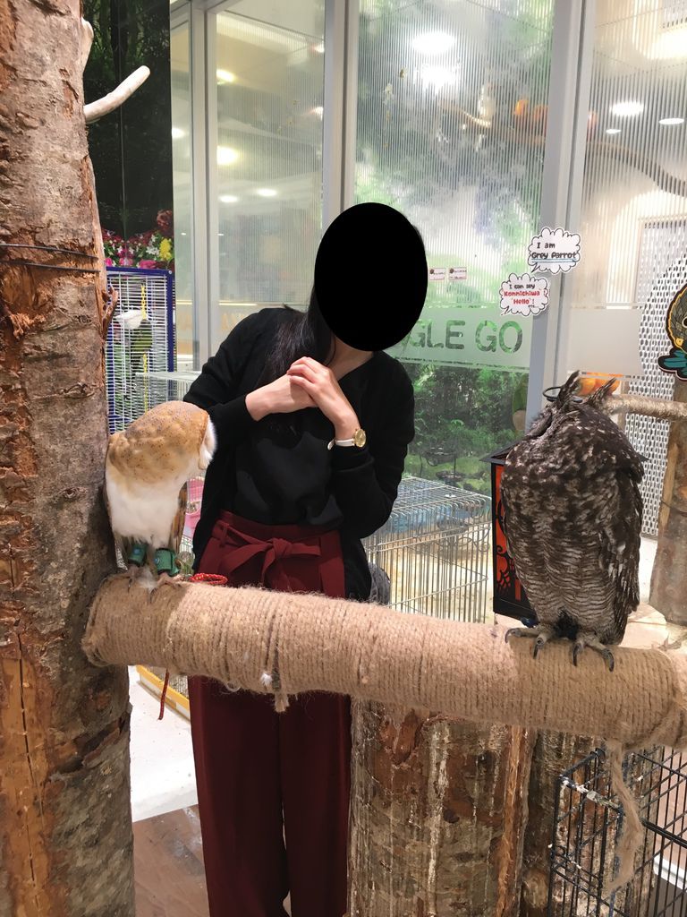 IMG_2913.JPG IMG_2913.JPG