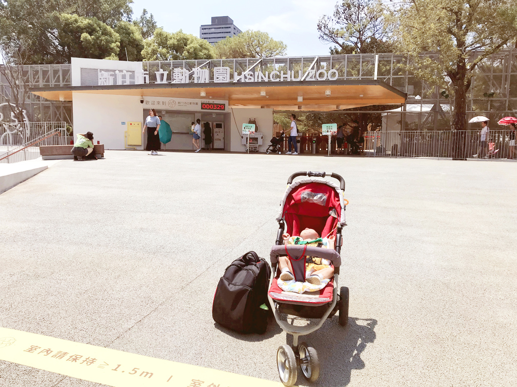 新竹市立動物園。新竹景點。新竹親子景點。小巧有歷史的動物園，