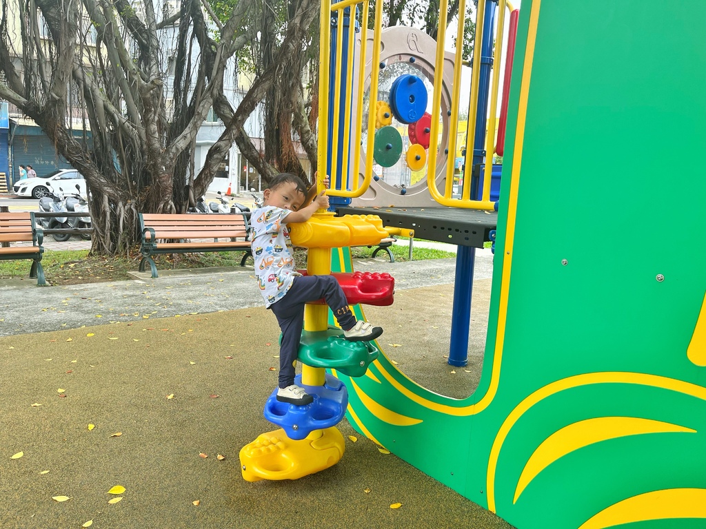 //新竹東區// 建功公園。新竹親子公園。近將軍村。麻雀雖小