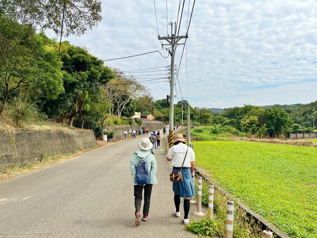 通霄鎮楓樹里蒜香藤花廊。苗栗景點。通霄景點。隱身農路上200