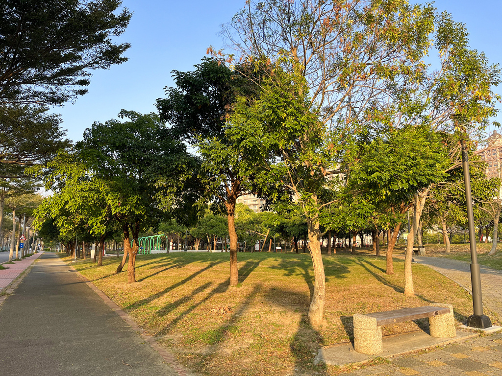 小猴子森林公園。公25公園。小竹繪本主題遊戲場。九個盪鞦韆一