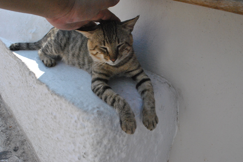 DSC_0412.JPG DSC_0412.JPG