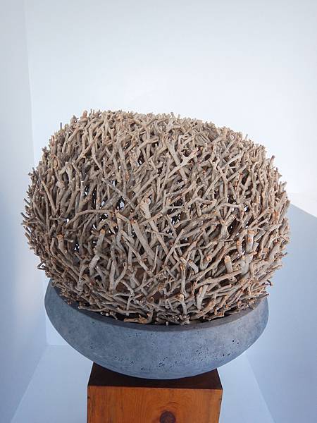 照片 022.jpg 照片 022.jpg