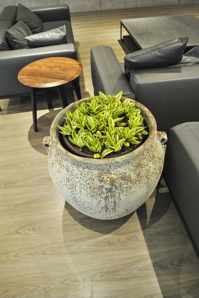 SSAA (45 - 47).jpg SSAA (45 - 47).jpg