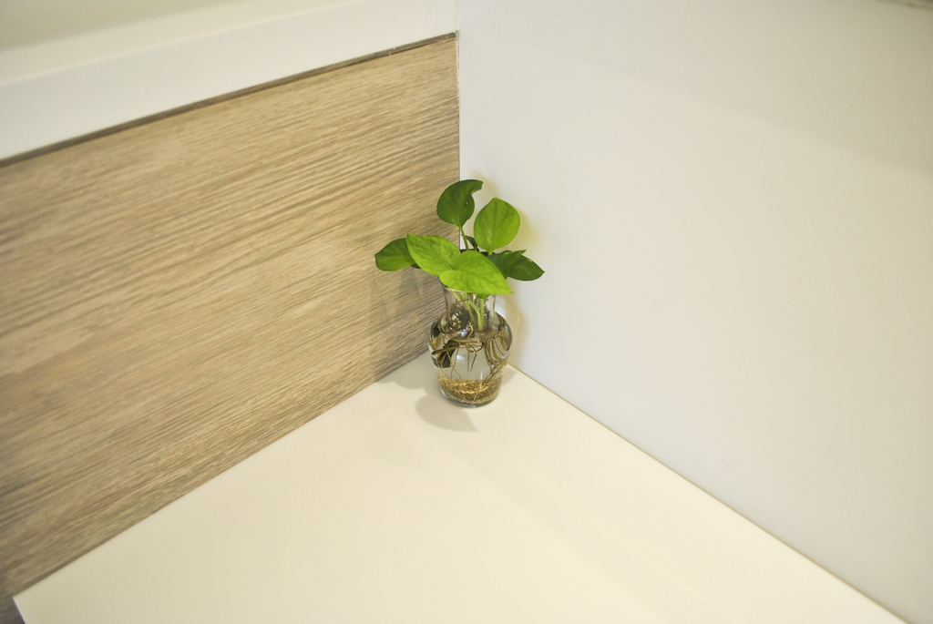 SSAA (11 - 69).jpg SSAA (11 - 69).jpg