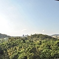 dd (37 - 63).jpg