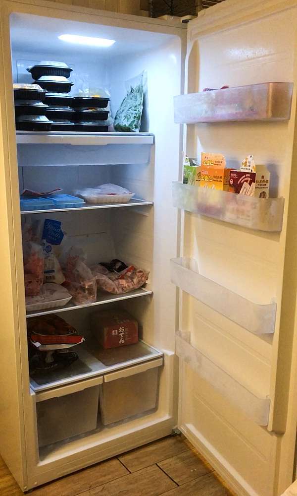 美國frigidaire富及第600l立式無霜冷凍櫃 冷凍櫃推薦負21度新冷凍主義 一週間蔬菜肉類儲藏直立式冷凍櫃 大幅節省家事備料時間 低溫無霜 省電節能 Costco買再多也不怕