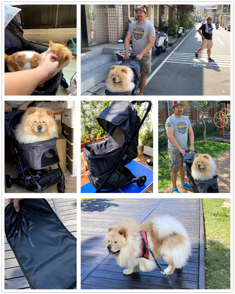 韓國bonilen輕便寵物推車pet5推薦 新世代精品寵物推車 開箱 鬆獅犬堡堡體驗全紀錄 兩隻大熊號 痞客邦 韓國bonilen輕便寵物推車pet5推薦 新世代精品寵物推車 開箱 鬆獅犬堡堡體驗全紀錄 兩隻大熊號 痞客邦