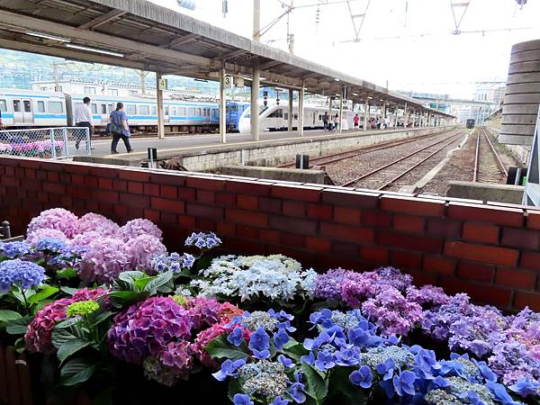 19前進長崎 眼鏡橋紫陽花祭 長崎電車 愛心石 叮鈴冰 匠寬堂 艾希絲妮文件 痞客邦 19前進長崎 眼鏡橋紫陽花祭 長崎電車 愛心石 叮鈴冰 匠寬堂 艾希絲妮文件 痞客邦