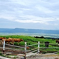 LINE_ALBUM_草千里_231108_47.jpg