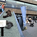 LINE_ALBUM_草千里_231108_11.jpg