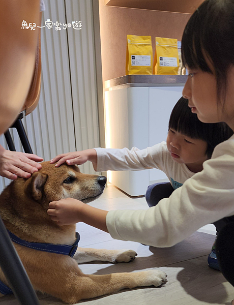 精品咖啡廳也吃得到五星級料理！？｜新竹風起咖啡×C.Wind