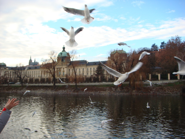 DSC08052.JPG