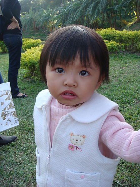 DSC00316.JPG