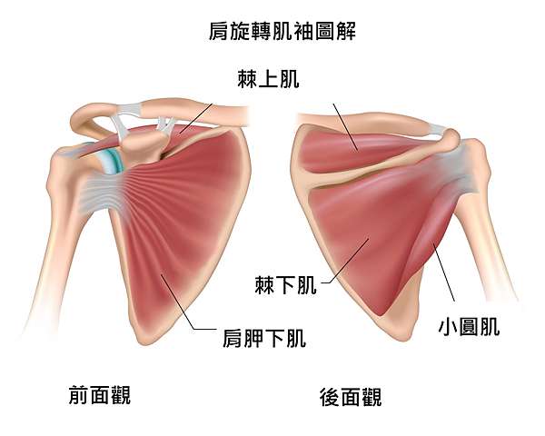 肩關節旋轉肌斷裂手術 二 開刀啦 快樂阿嬷 隨意窩xuite日誌