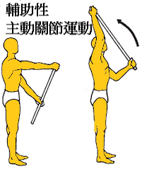 shoulder aa rom.png shoulder aa rom.png