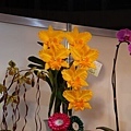 2009台北國際花卉節 - 29.jpg