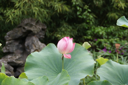 雲南華夏平台 - 124.jpg