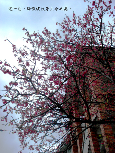 2011.02.24