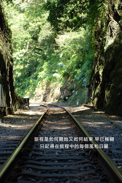 巧.jpg