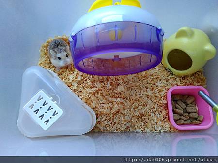 IMG_20160212_165239.jpg IMG_20160212_165239.jpg