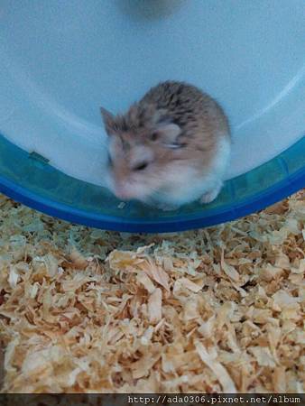 IMG_20160212_165728.jpg IMG_20160212_165728.jpg