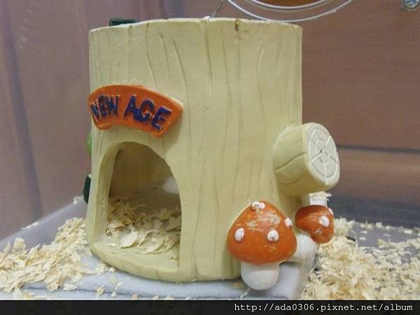 樹墩小屋.jpg 樹墩小屋.jpg