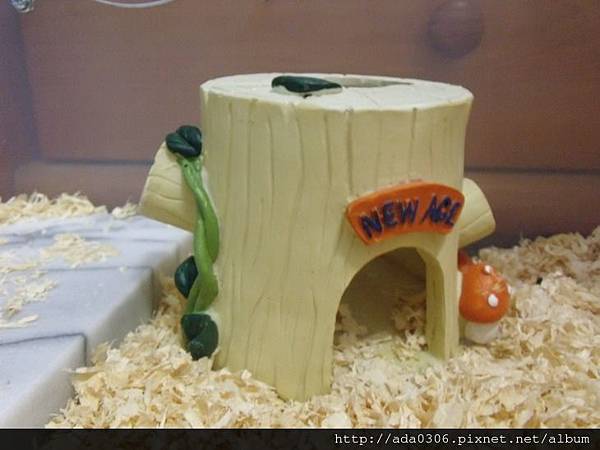 樹墩小屋 (2).jpg