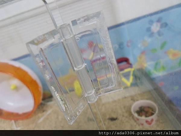 蔥崩壓克力籠.jpg 蔥崩壓克力籠.jpg